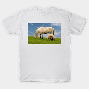 Sharing a Field T-Shirt